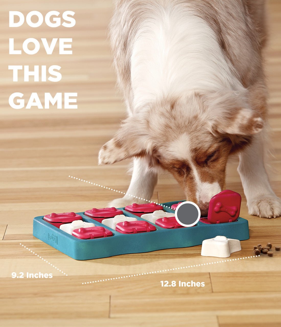 Dog Brick Interactive Treat Puzzle Dog Toy, Blue - Eva Pet - Outward Hound