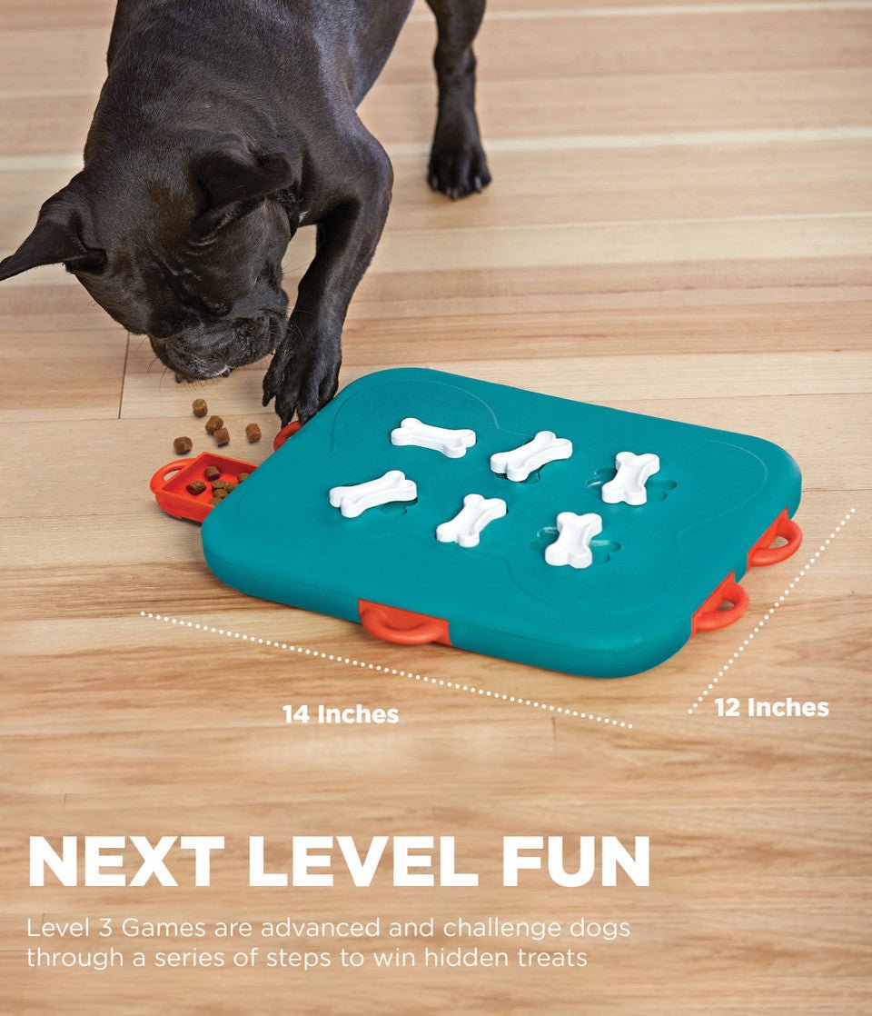 Dog Casino Interactive Treat Puzzle Dog Toy, Turquoise - Eva Pet - Outward Hound