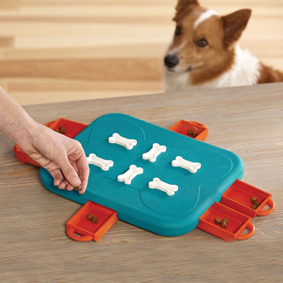 Dog Casino Interactive Treat Puzzle Dog Toy, Turquoise - Eva Pet - Outward Hound