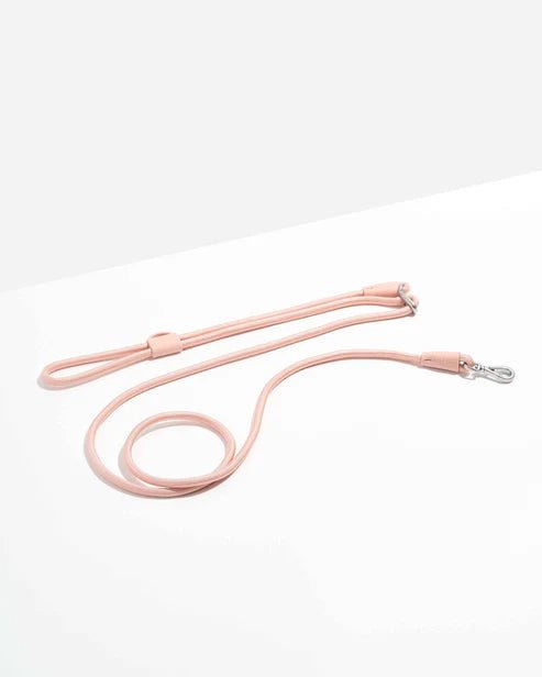 Dog Leash - Eva Pet - Eva Pet