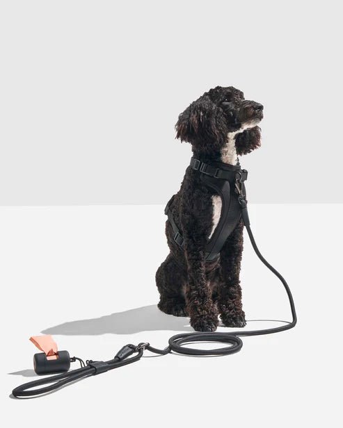 Dog Leash - Eva Pet - Eva Pet