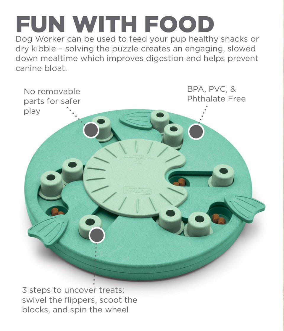 Dog Worker Interactive Treat Puzzle Dog Toy, Green - Eva Pet - Outward Hound