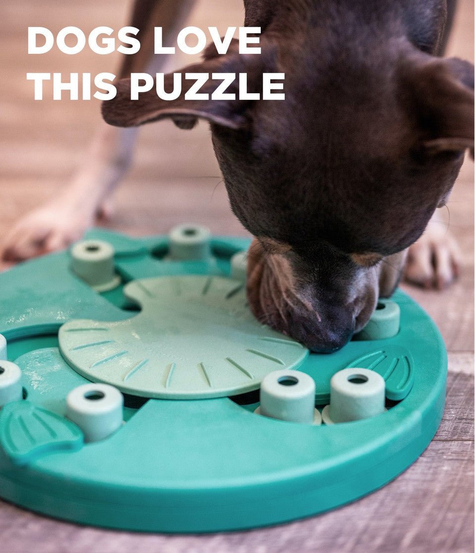 Dog Worker Interactive Treat Puzzle Dog Toy, Green - Eva Pet - Outward Hound