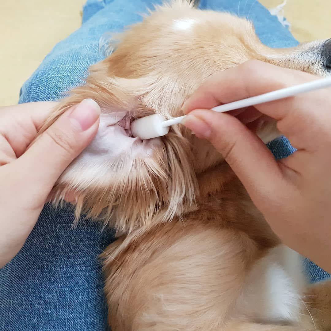 Ear Cleansing System