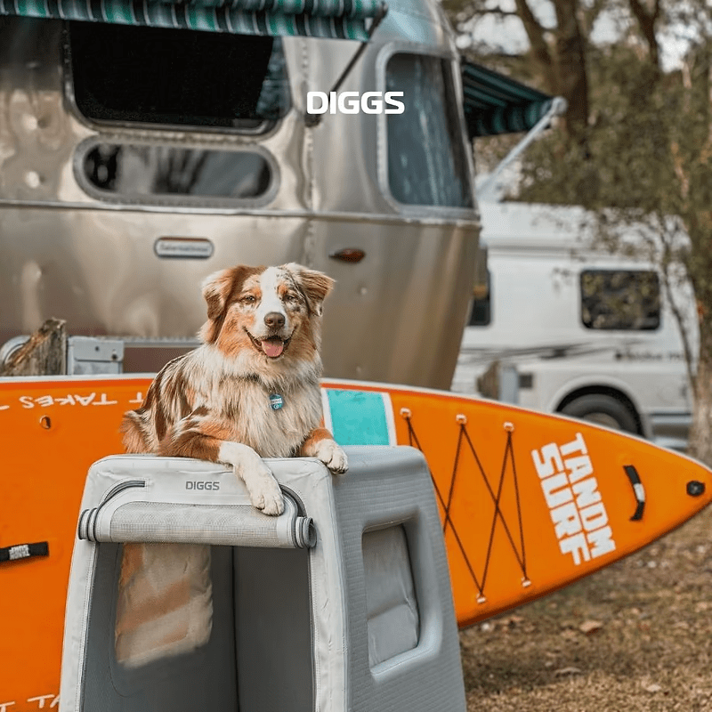 Enventur Travel Kennel - Eva Pet - Diggs