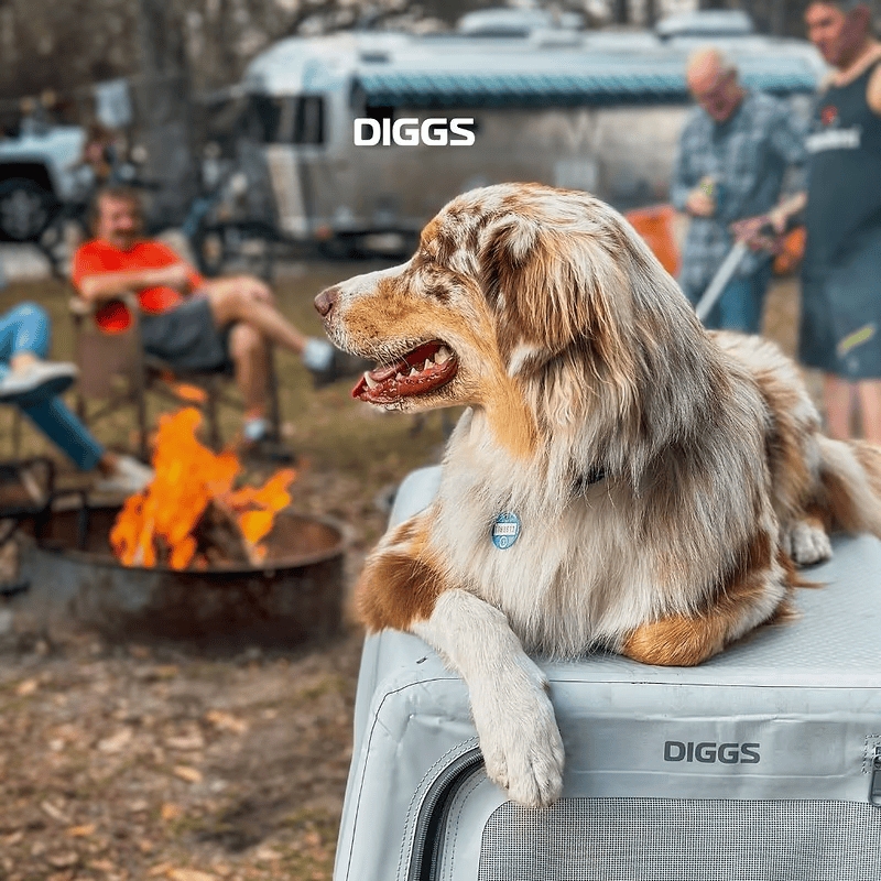 Enventur Travel Kennel - Eva Pet - Diggs