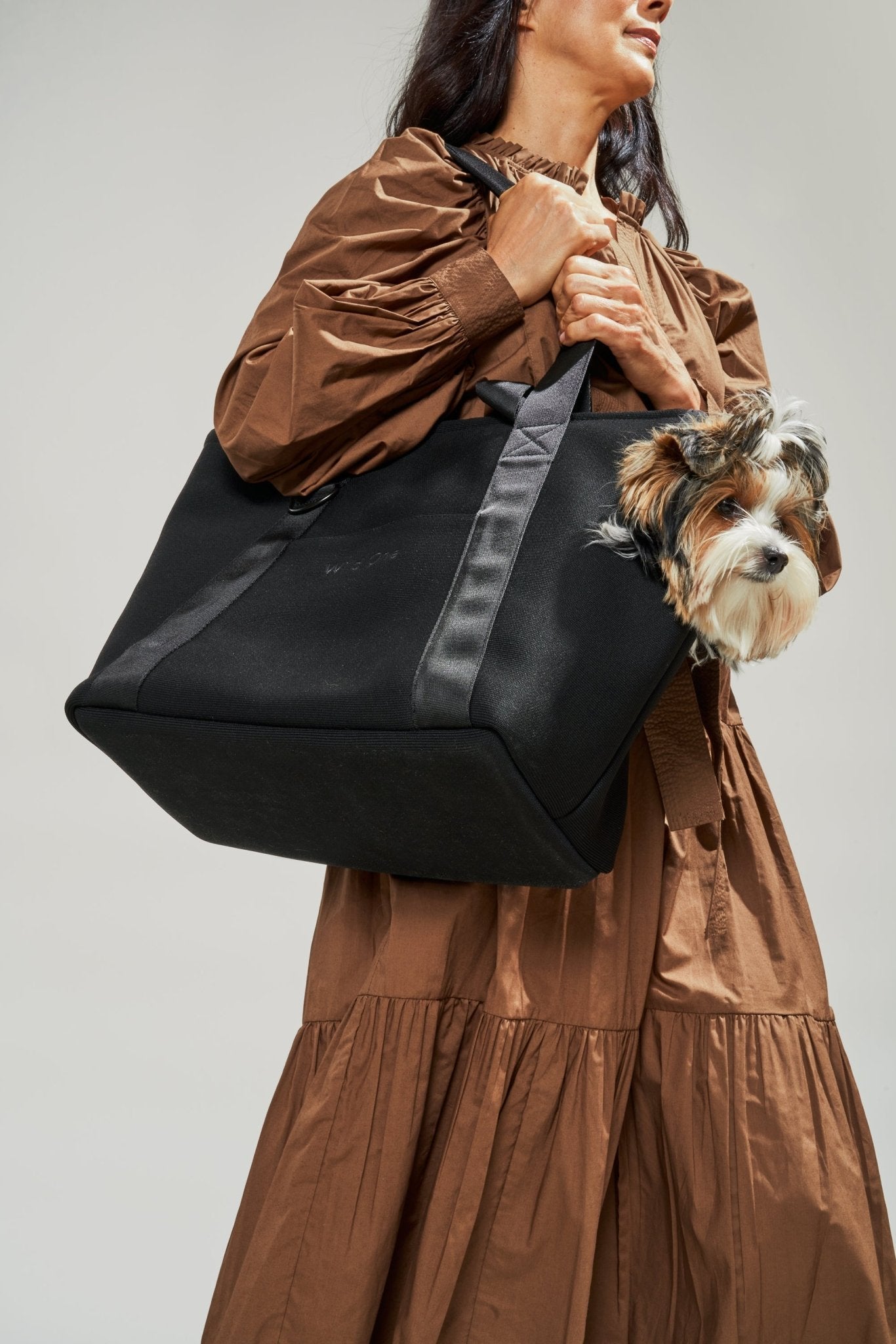 Everyday Carrier - Eva Pet - Wild One