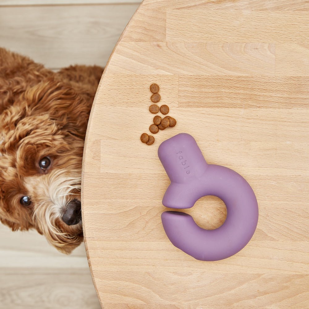 Falcon Toy™ - Eva Pet - Fable Pets