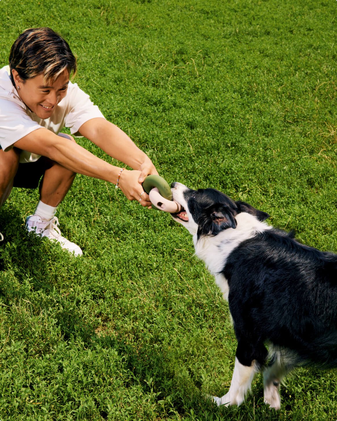 Falcon Toy™ - Eva Pet - Fable Pets