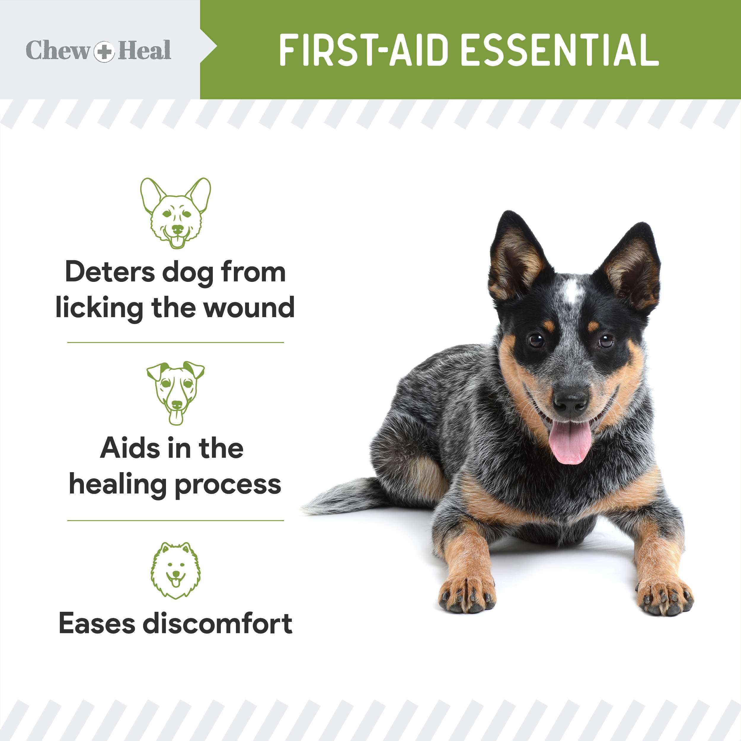 Liquid Bandage for Dogs