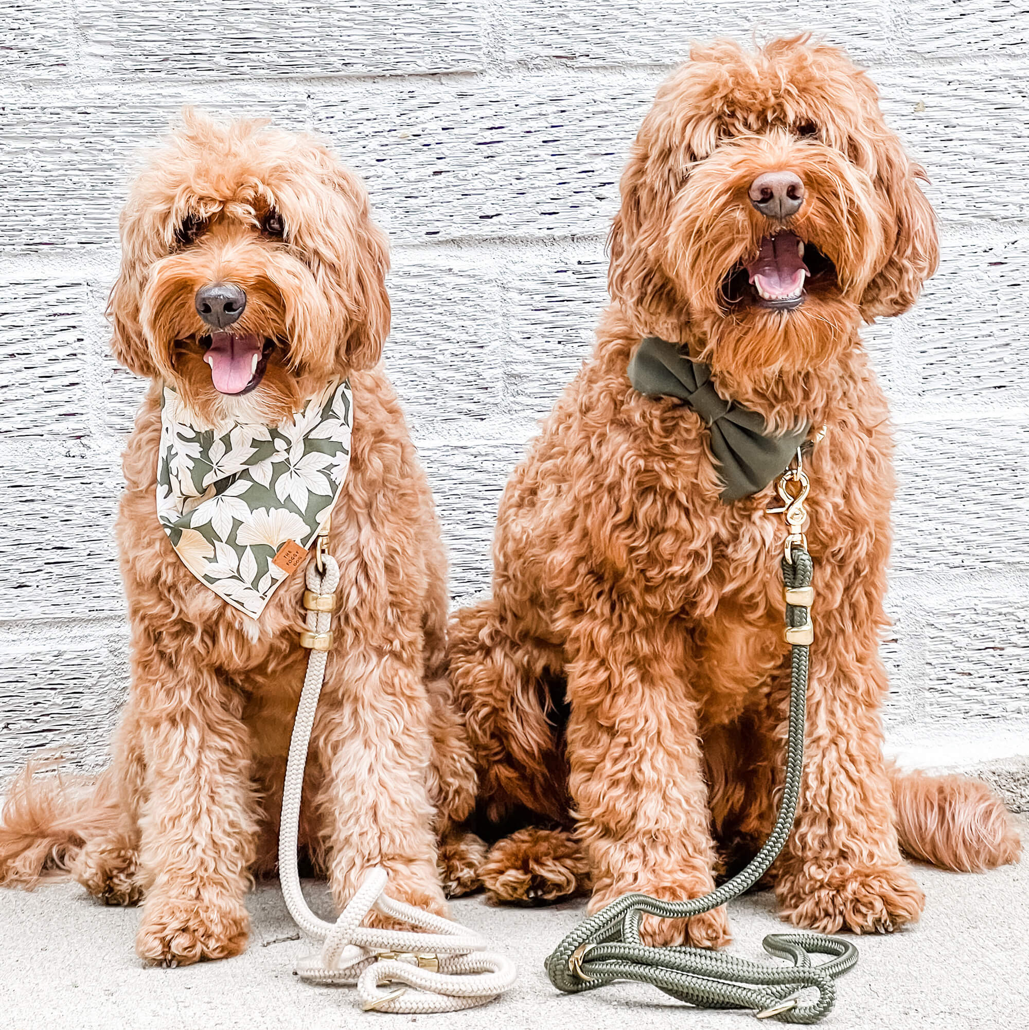 Flax Marine Rope Dog Leash - Eva Pet - The Foggy Dog