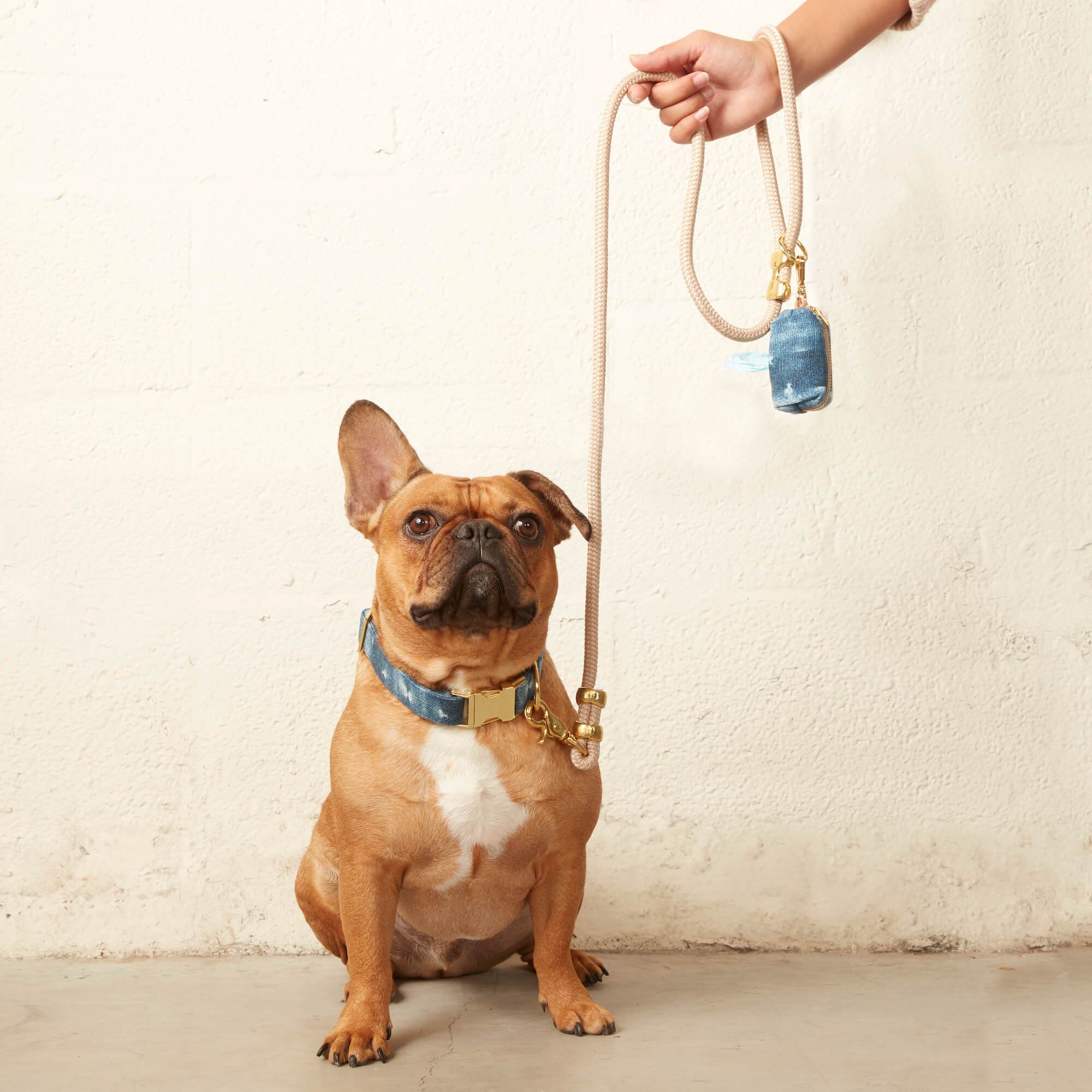 Flax Marine Rope Dog Leash - Eva Pet - The Foggy Dog