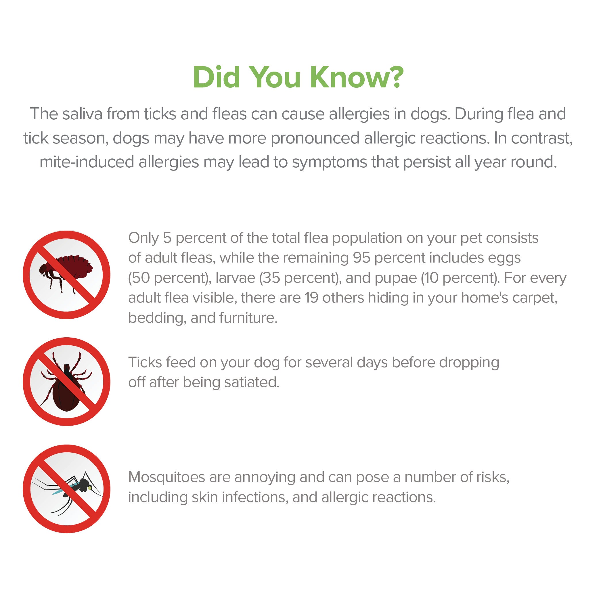 Flea and Tick Spray for Dogs