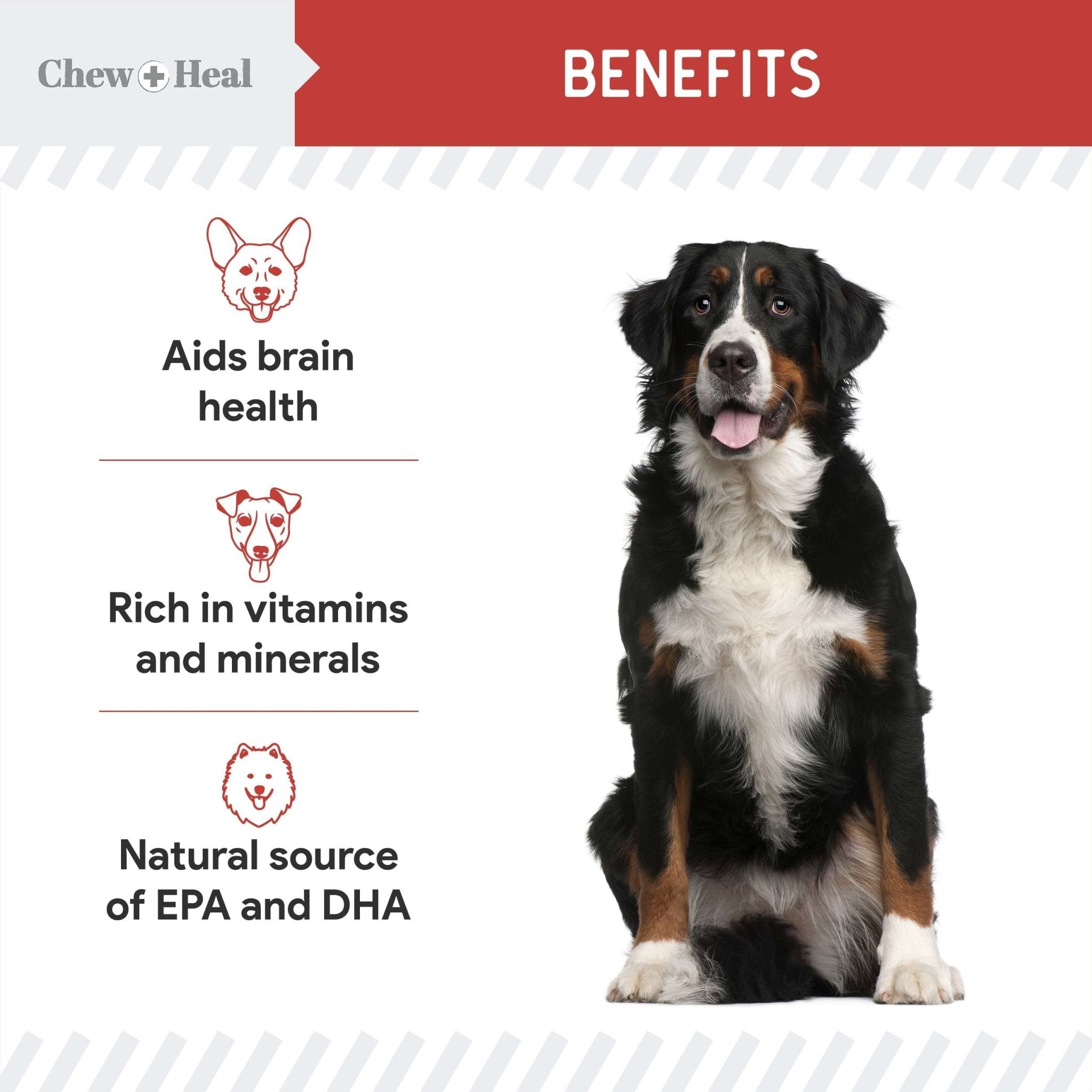 Focus Wild Alaskan Salmon Limited Ingredient Soft Jerky Dog Treats - Eva Pet - Chew + Heal