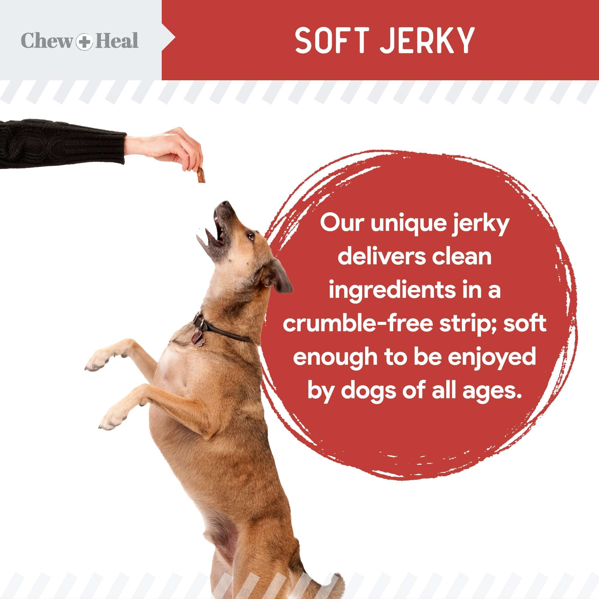 Focus Wild Alaskan Salmon Limited Ingredient Soft Jerky Dog Treats - Eva Pet - Chew + Heal