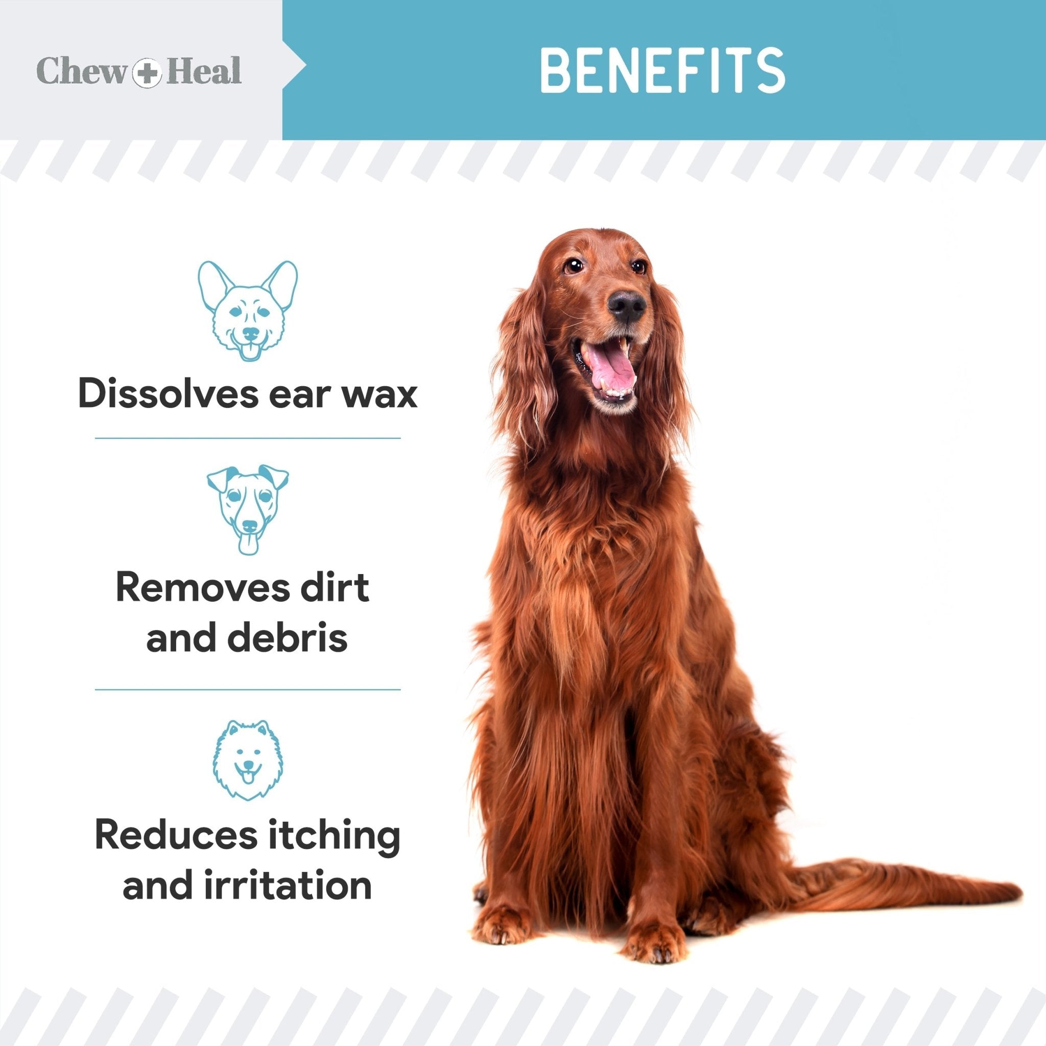 Fresh Scent, Soothing Aloe, Witch Hazel & Tea Tree Oil Dog Ear Cleaner - Eva Pet - Chew + Heal