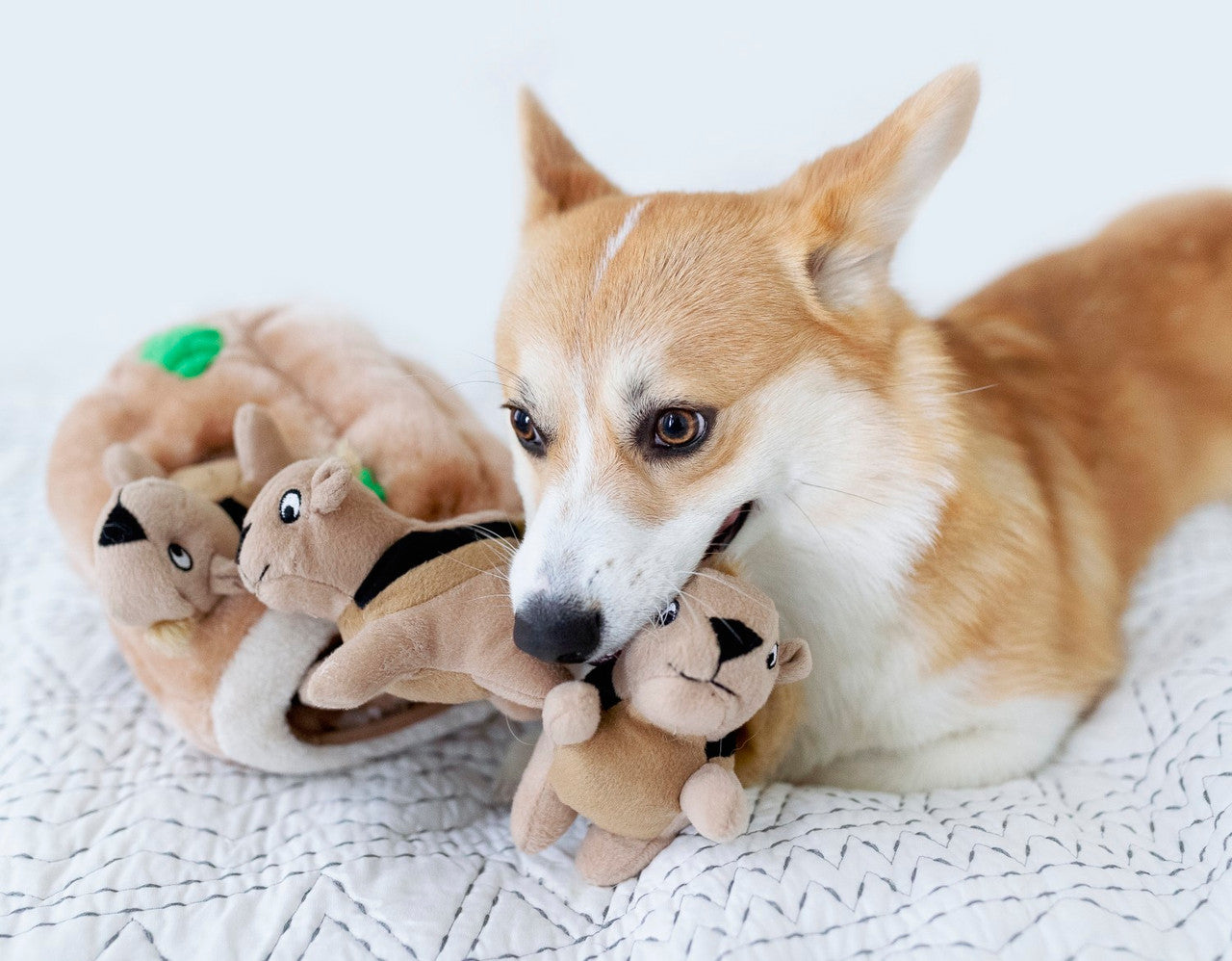 Hide A Toy Plush Puzzle Toy