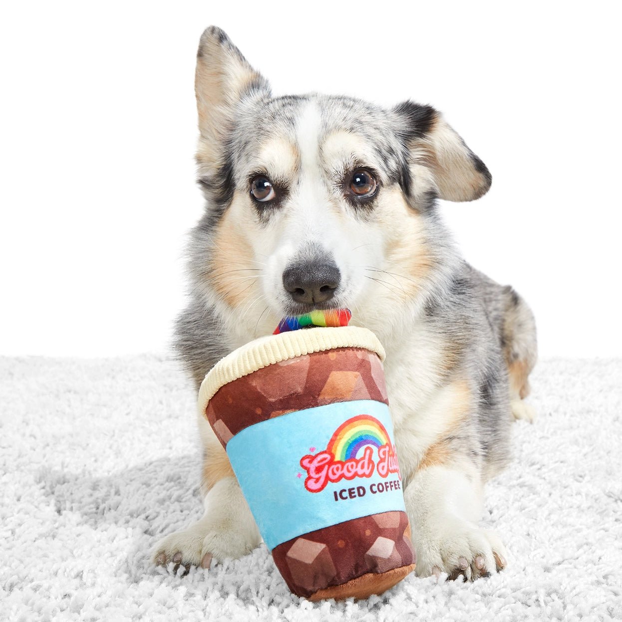 Good Judy Coffee Plush Dog Toy - Eva Pet - BARK