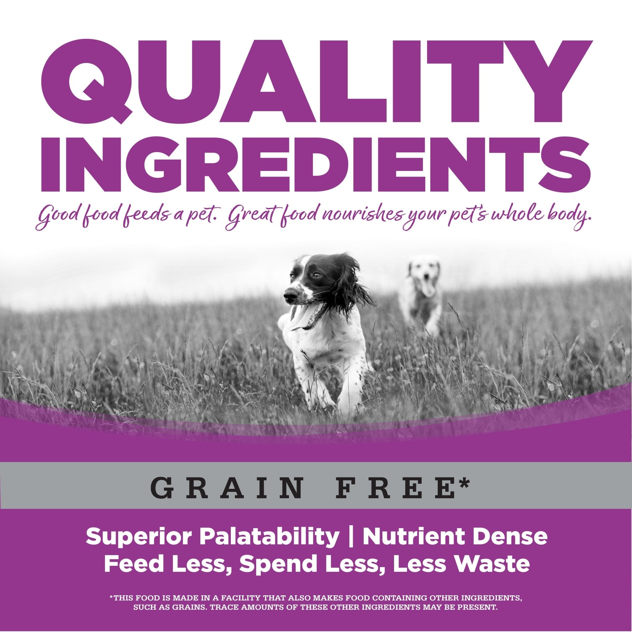 Grain Free Large Breed Puppy - Eva Pet - NutriSource