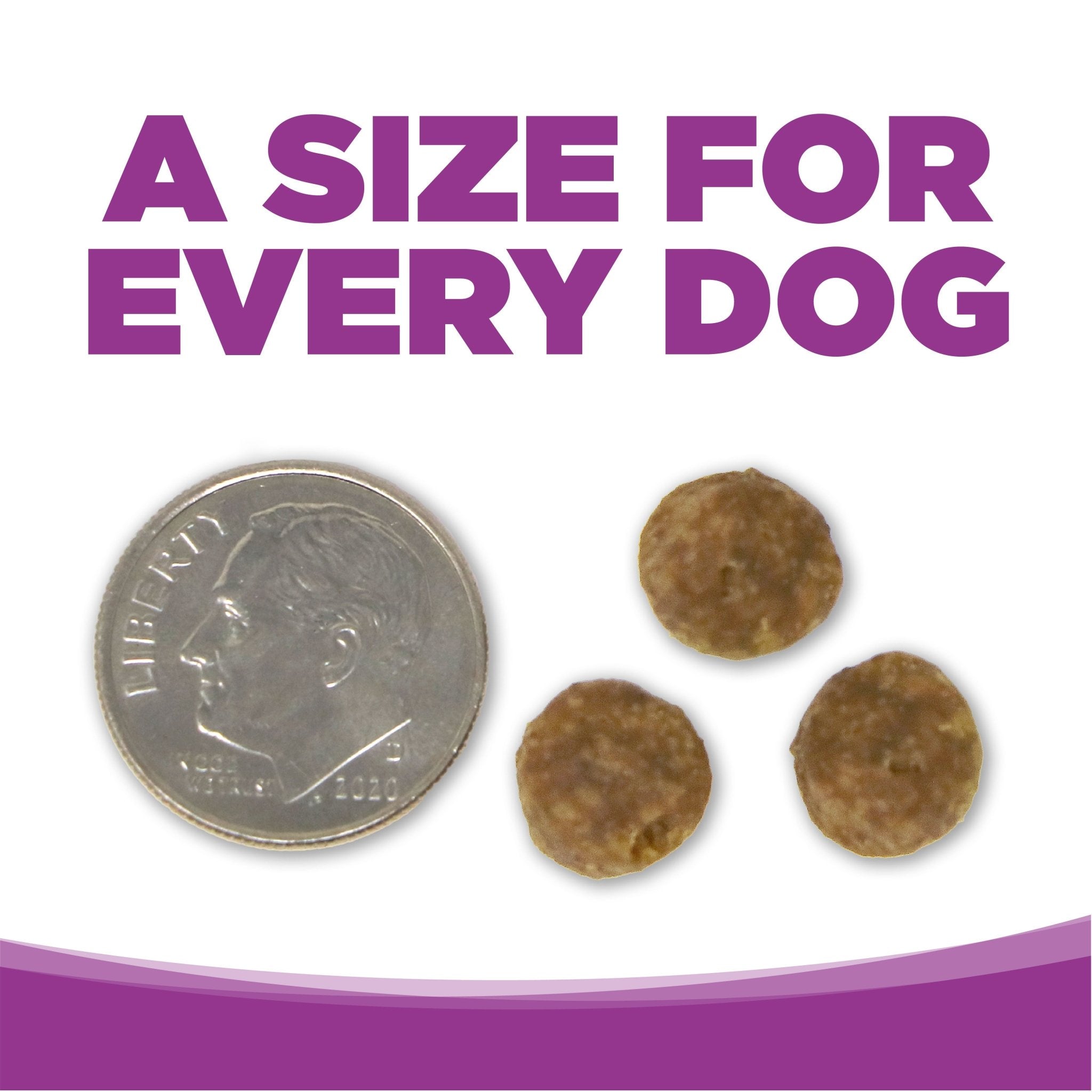 Grain Free Large Breed Puppy - Eva Pet - NutriSource