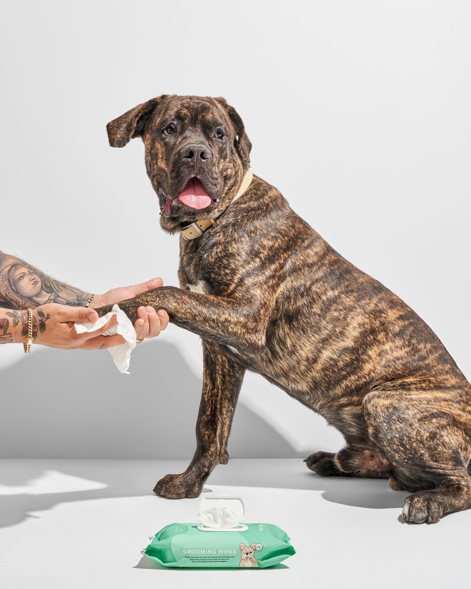 Grooming Wipes - Eva Pet - Wild One