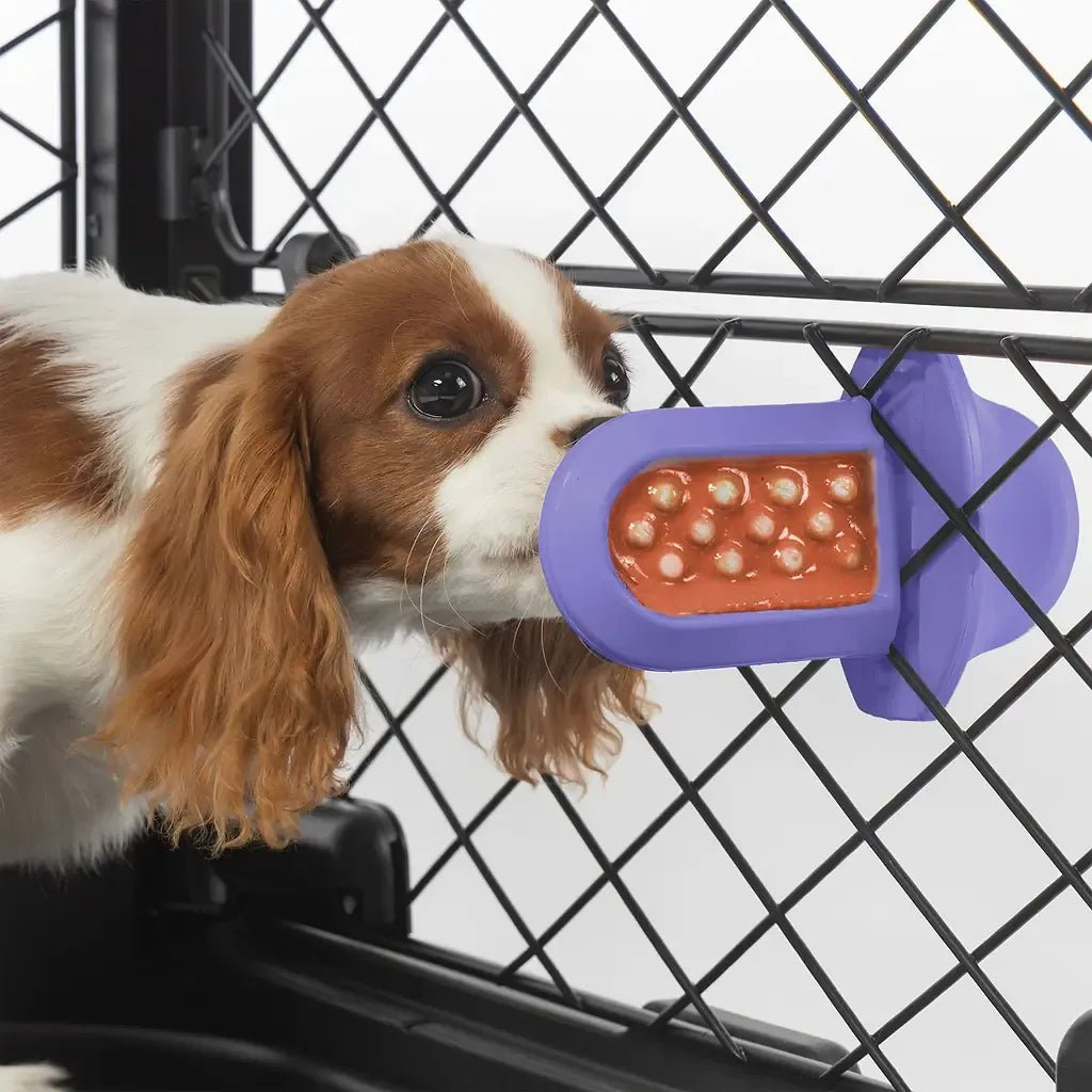 Groov Training Aid - Eva Pet - Diggs