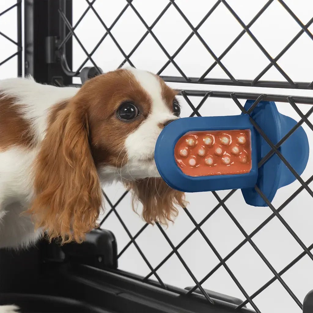 Groov Training Aid - Eva Pet - Diggs