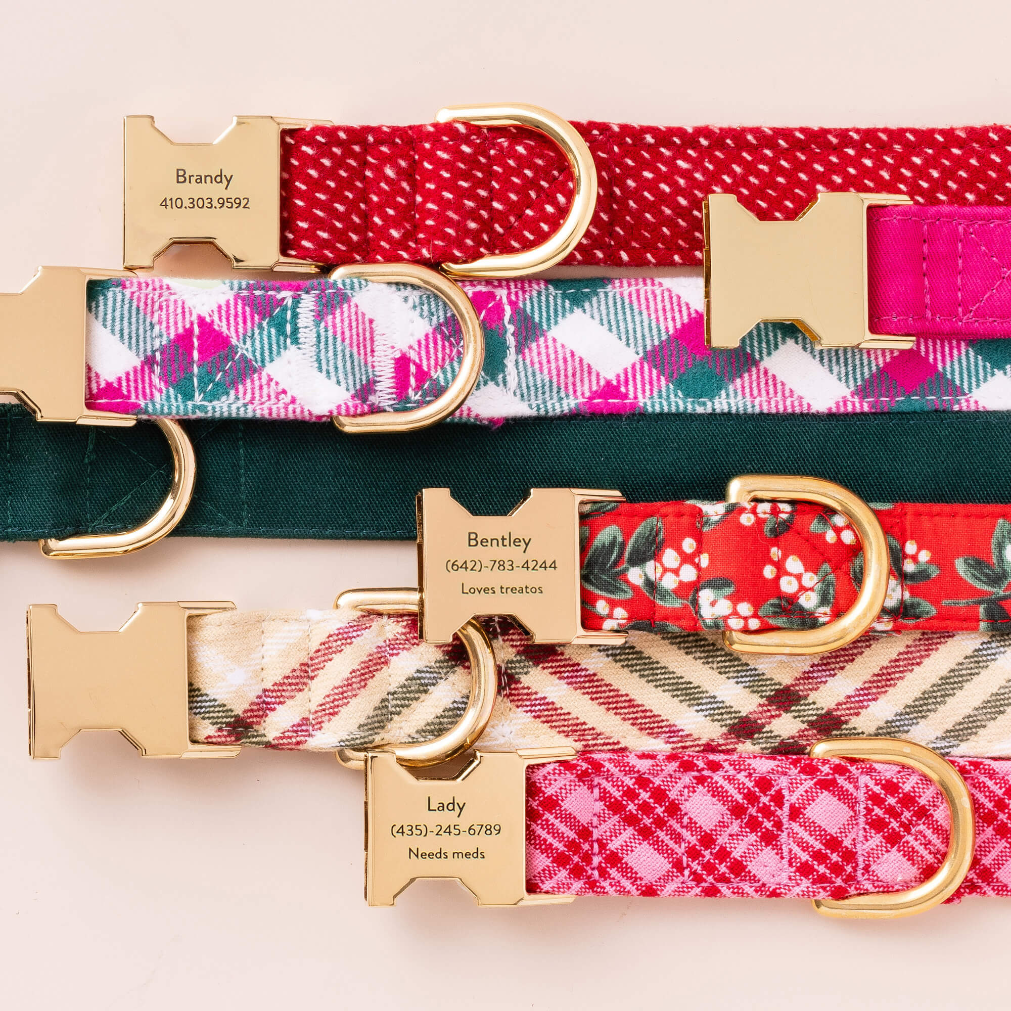 Hot Pink Dog Collar - Eva Pet - The Foggy Dog