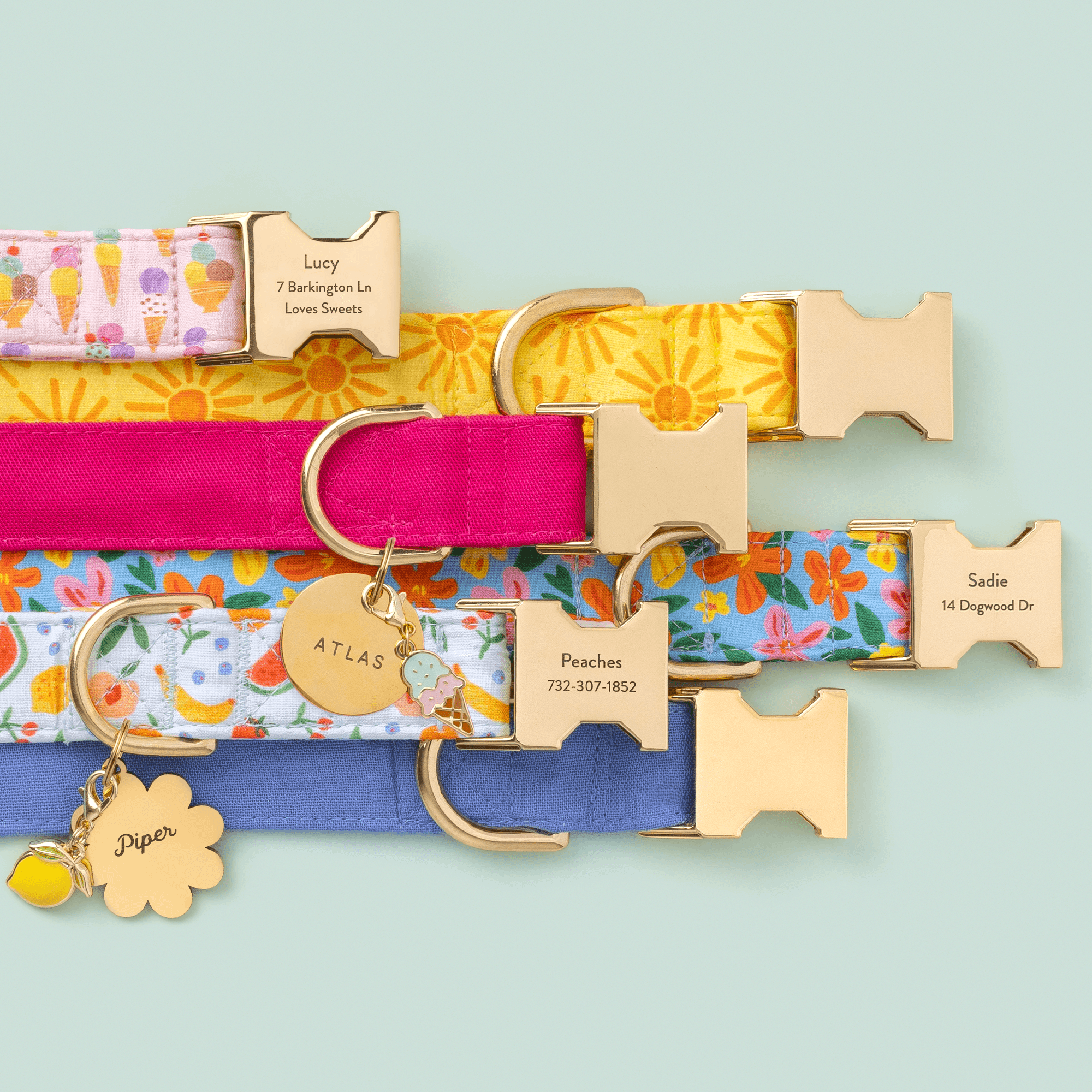 Hot Pink Dog Collar - Eva Pet - The Foggy Dog