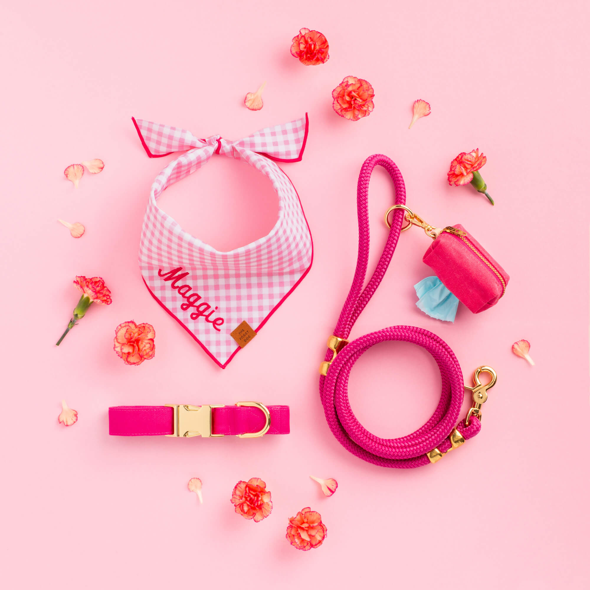 Hot Pink Dog Collar - Eva Pet - The Foggy Dog
