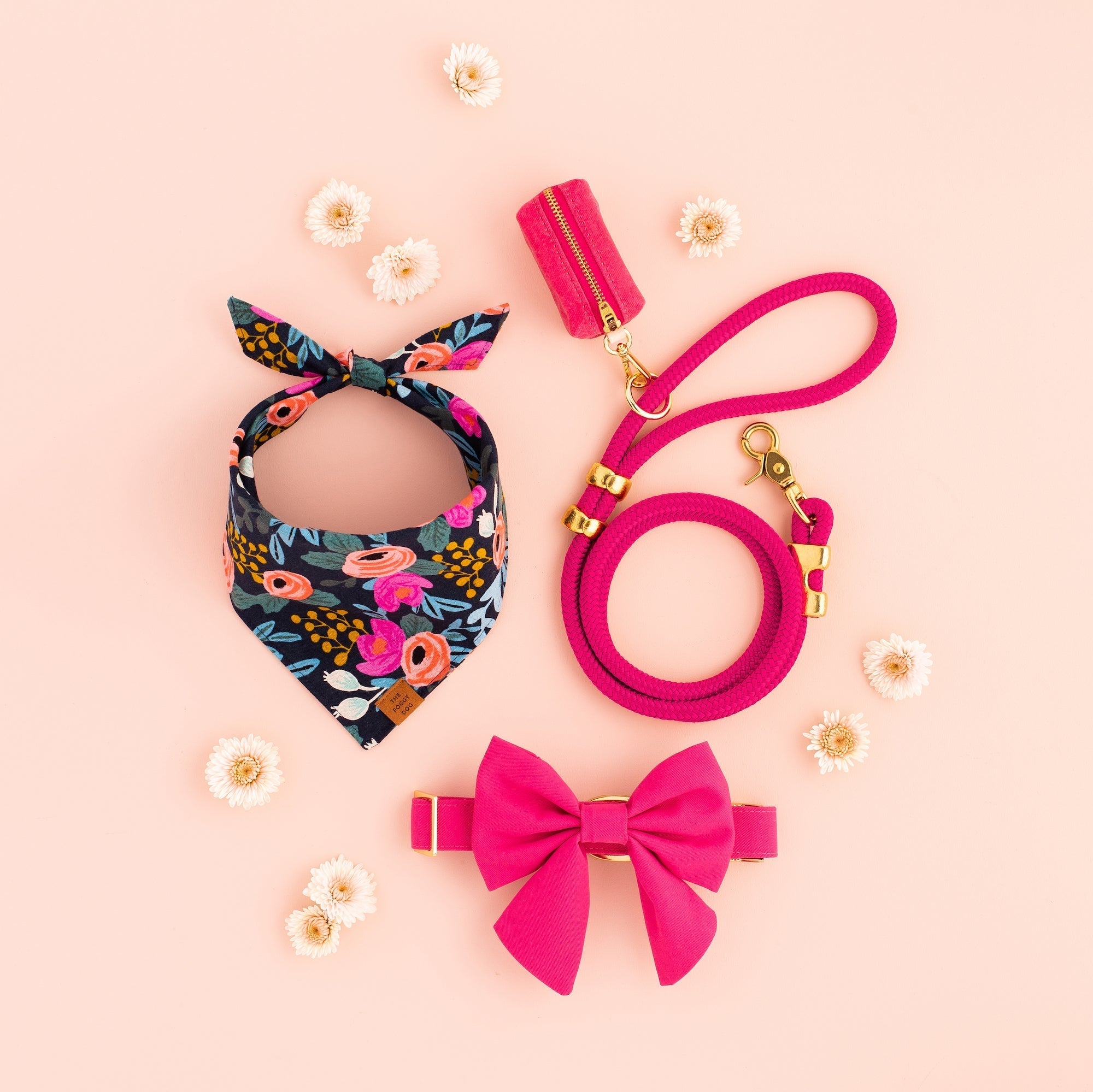 Hot Pink Dog Collar - Eva Pet - The Foggy Dog