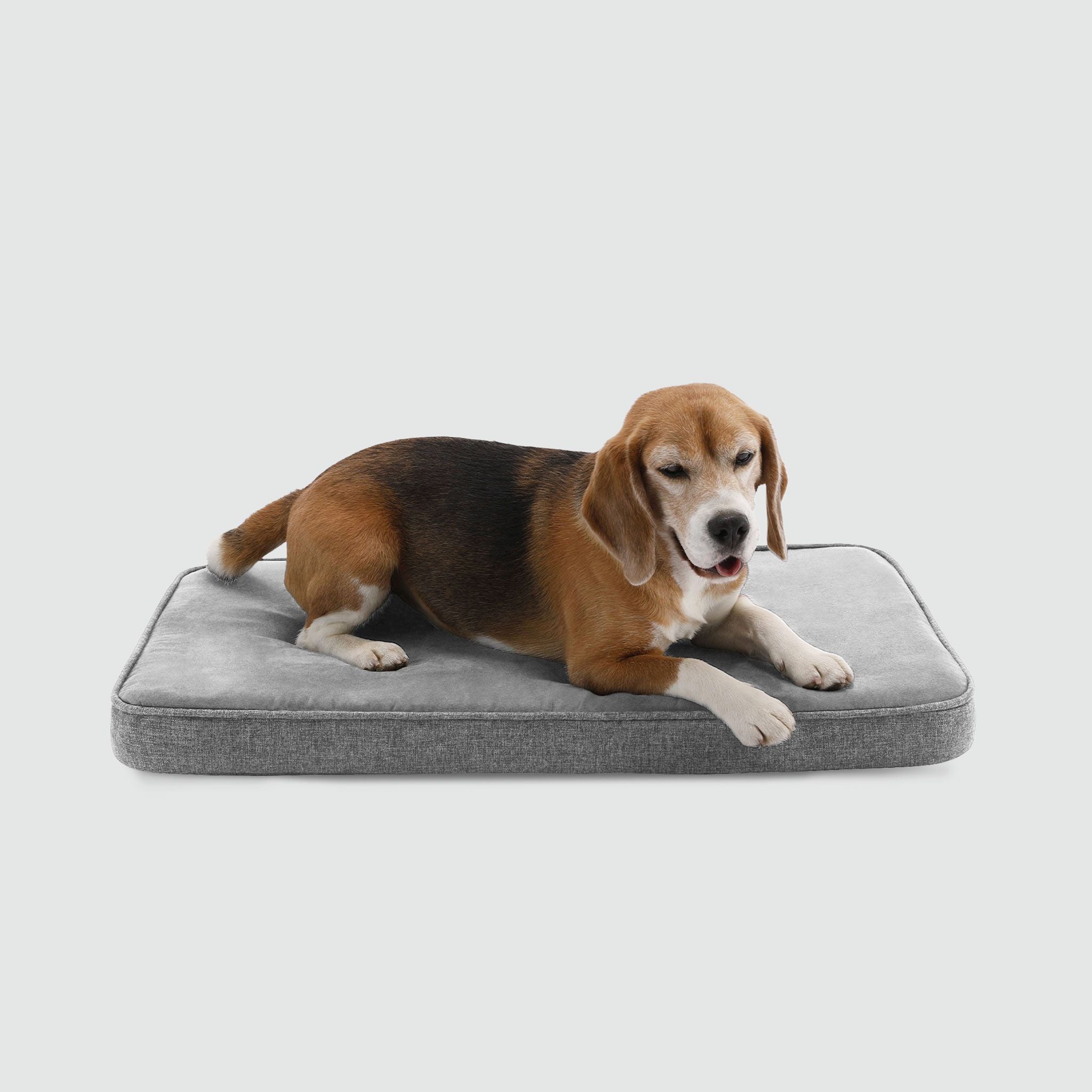 Snooz Revol Pad