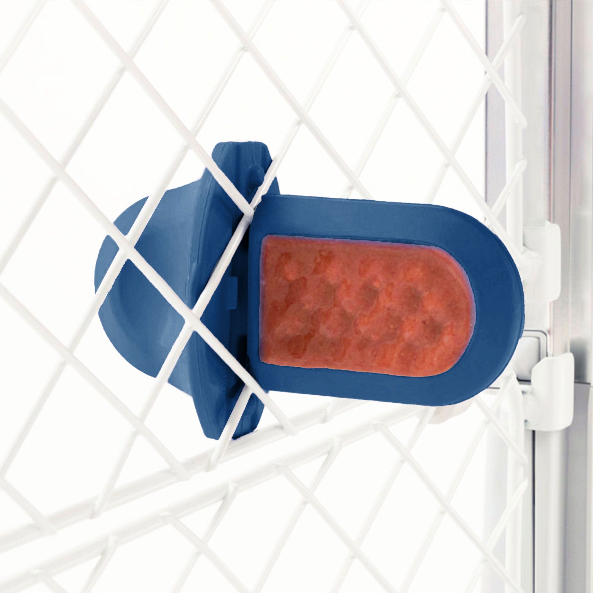 Groov Training Aid
