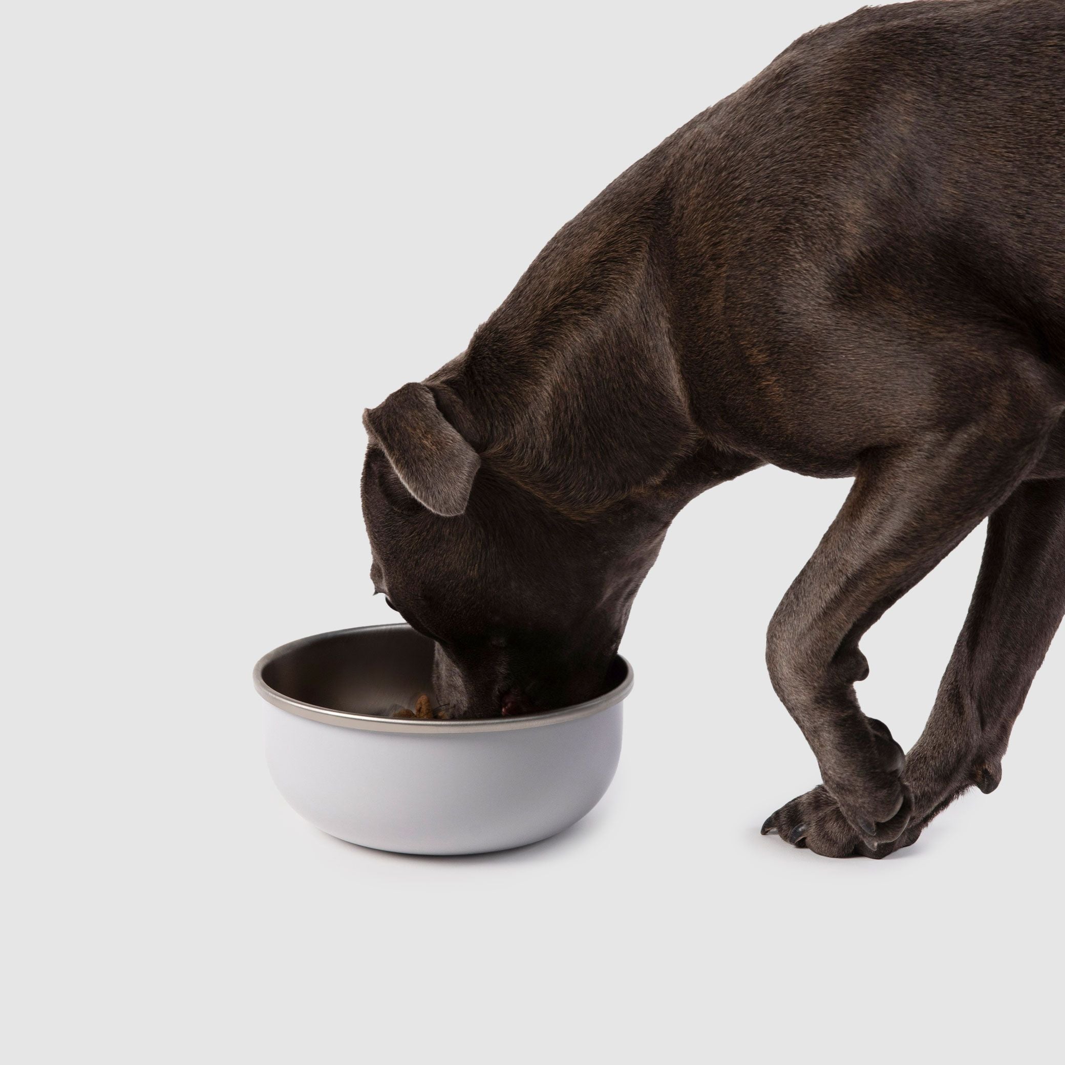 Crate Bowl