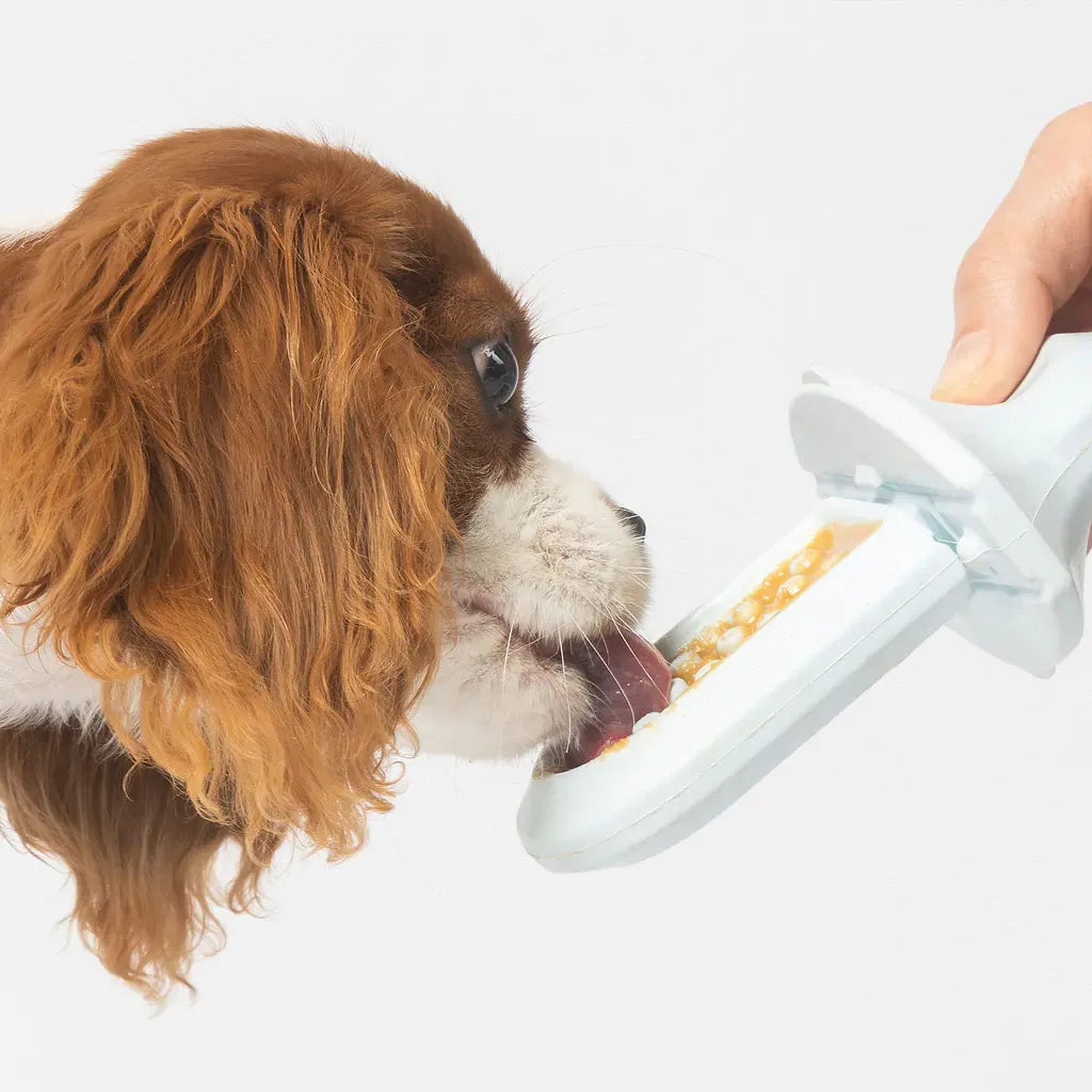 Groov Training Aid