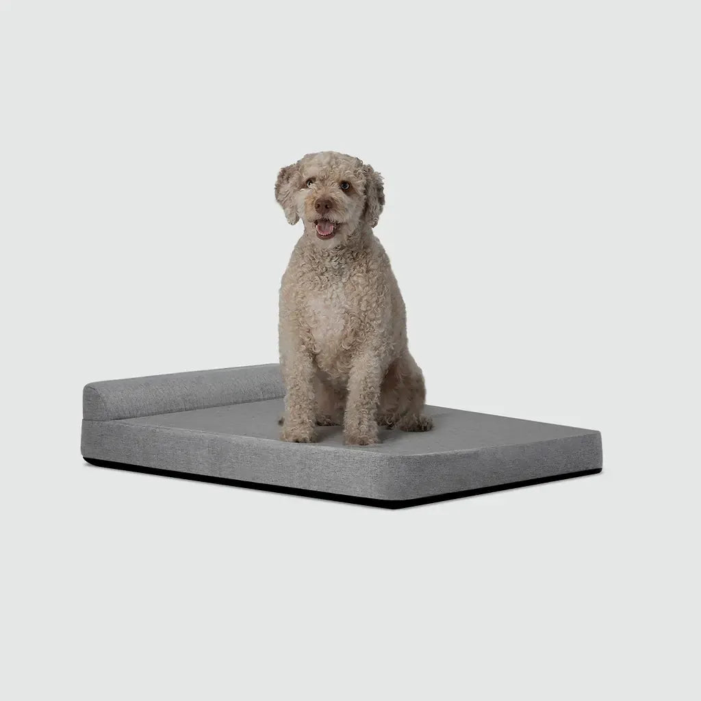 Bolstr Evolv Bed