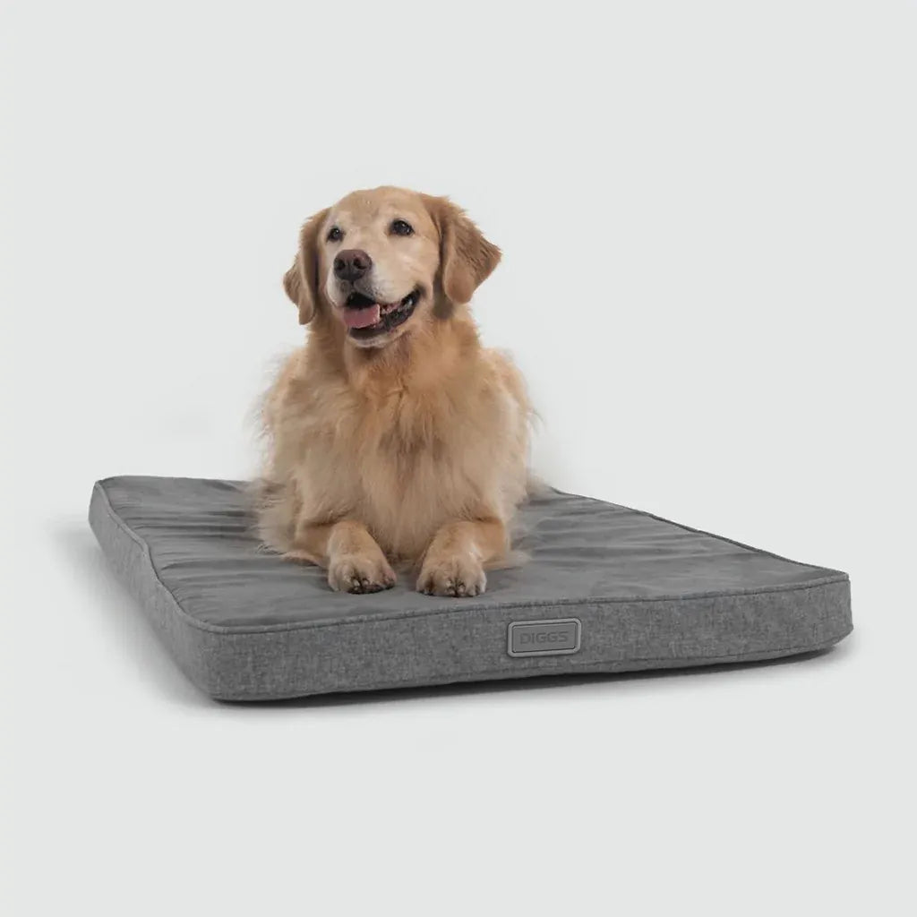 Snooz Revol Pad