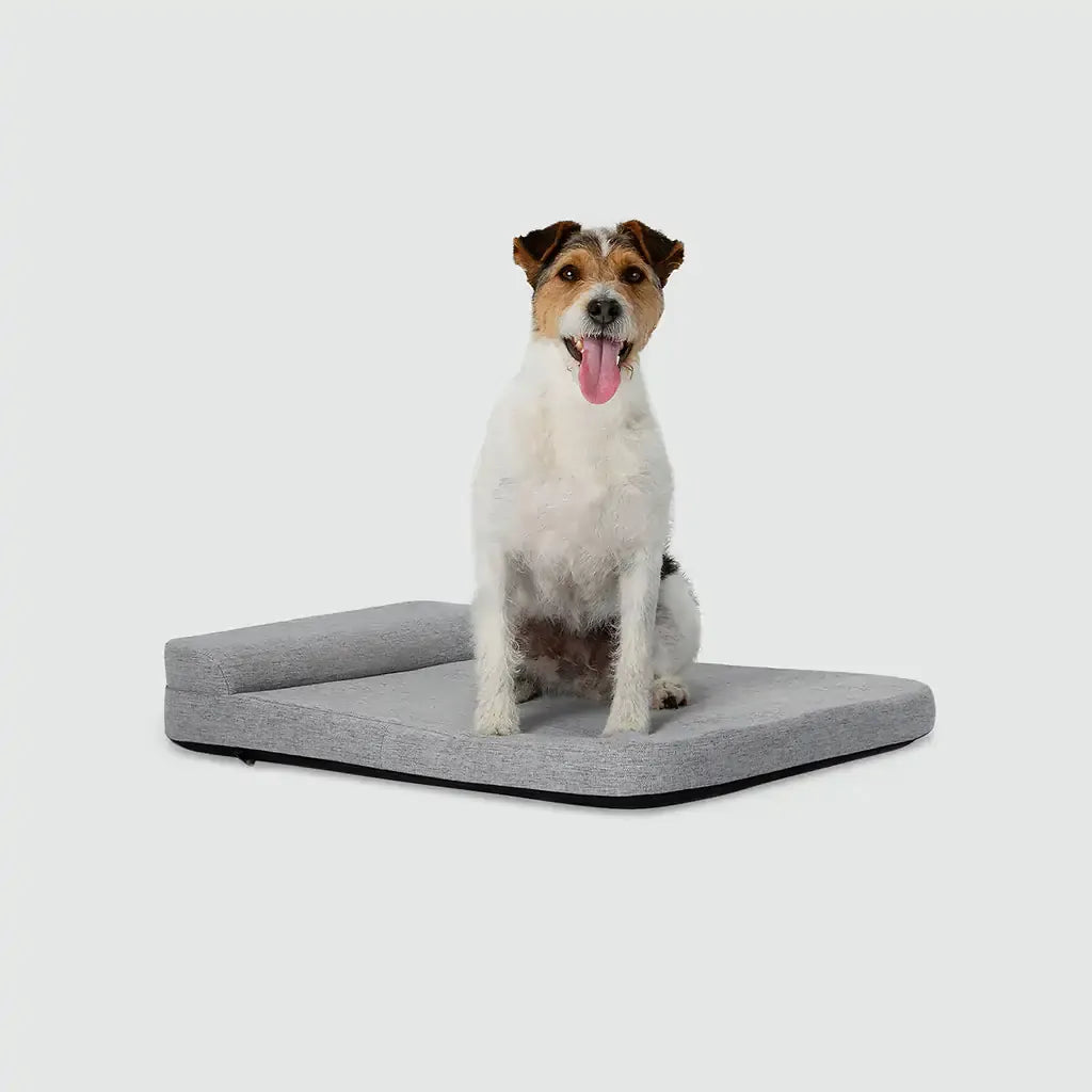 Bolstr Evolv Bed
