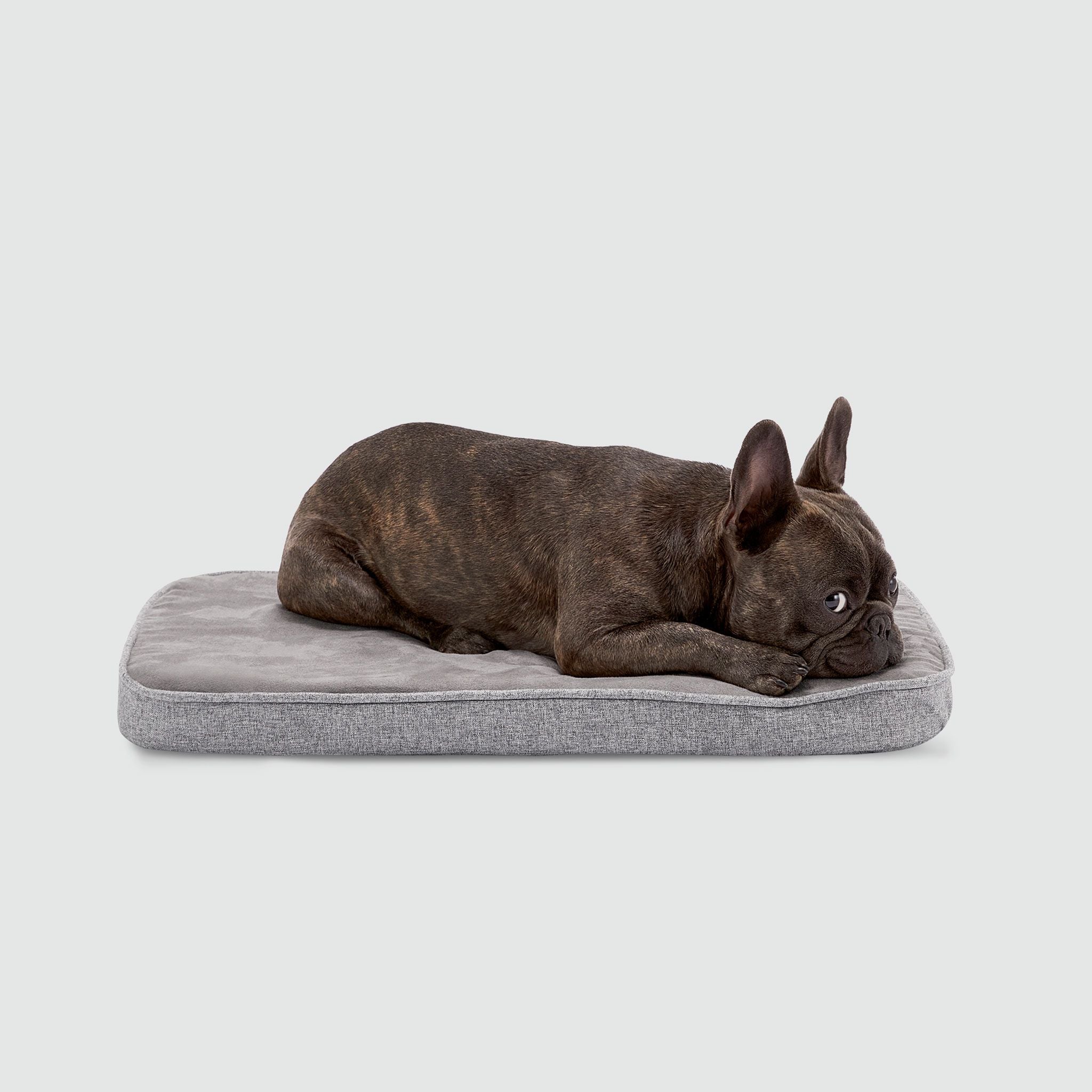 Snooz Revol Pad