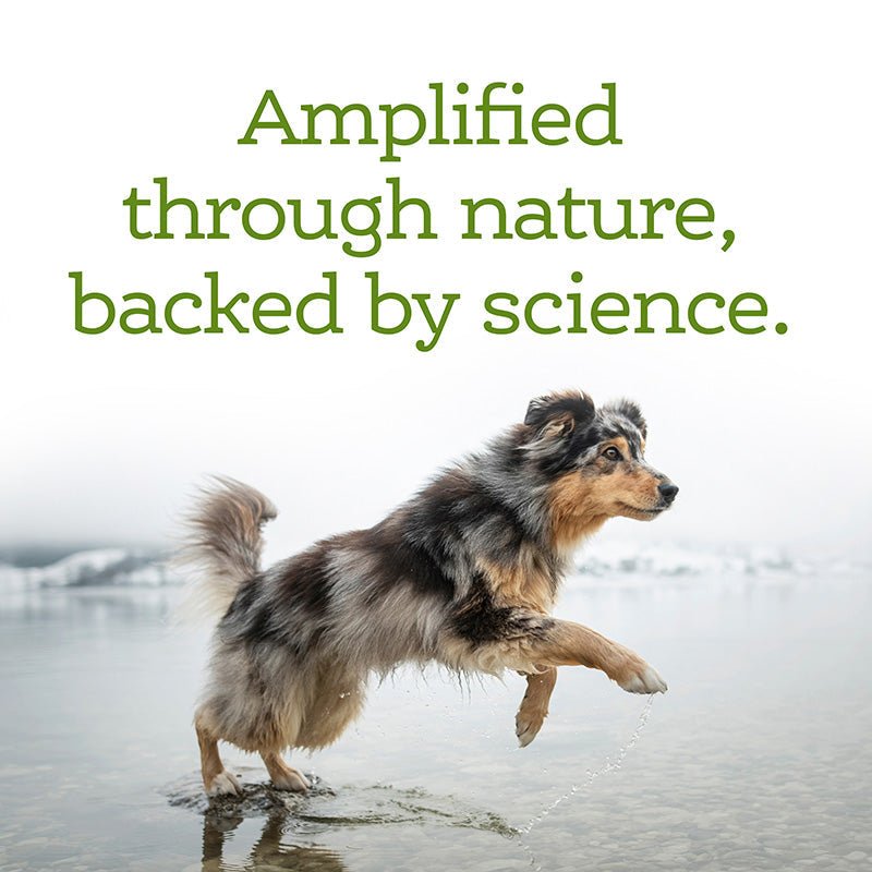 Immune+ Digestive Support Gummy Supplements - Eva Pet - NutriSource