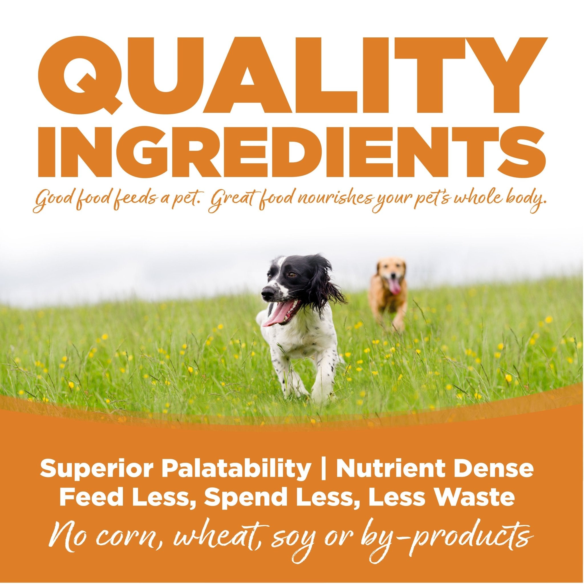 Lamb Meal & Rice - Eva Pet - NutriSource