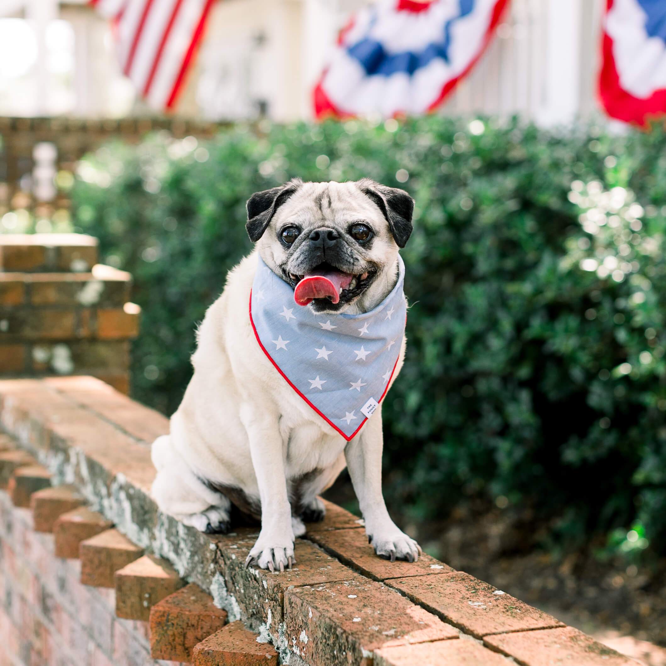 Liberty Dog Bandana