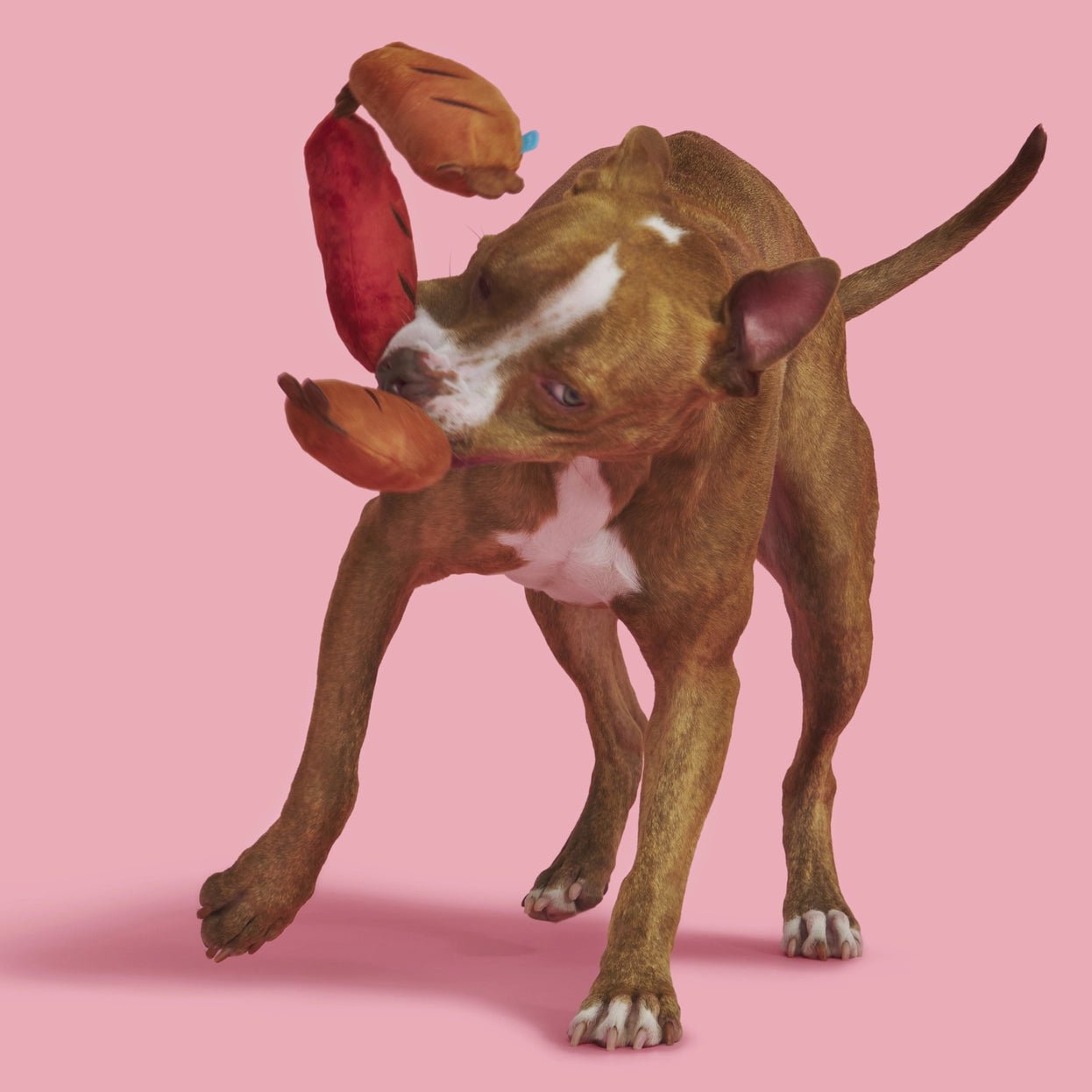 Lickin' Links Plush Dog Toy - Eva Pet - BARK