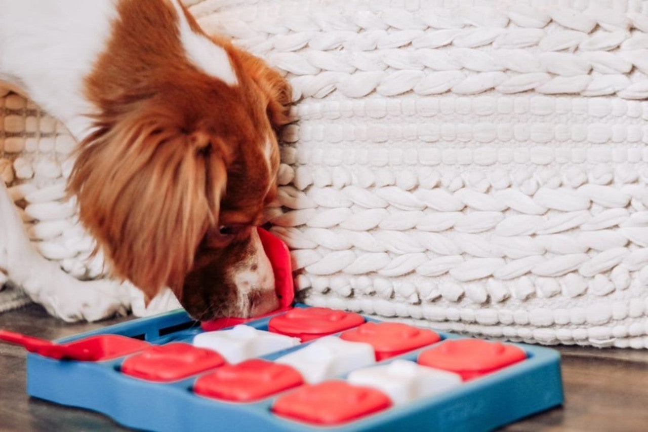 Dog Brick Interactive Treat Puzzle Dog Toy, Blue