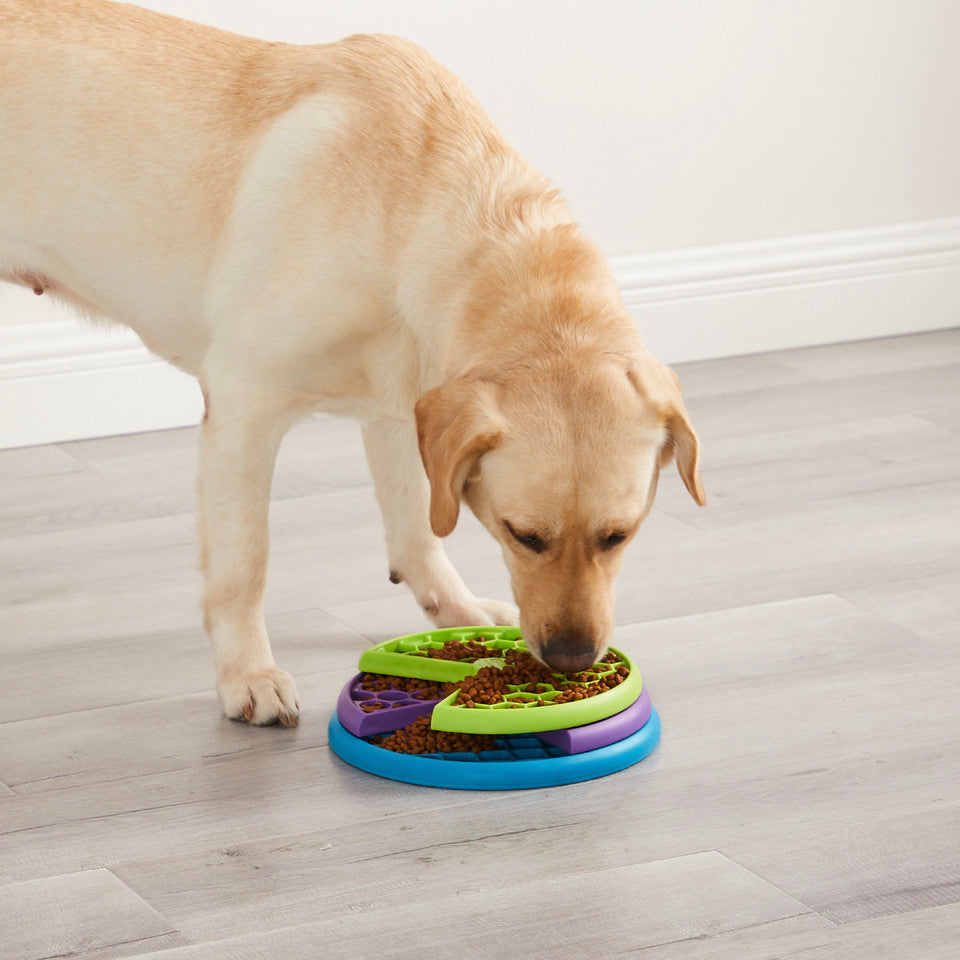 Lickin' Layers Dog Puzzle Game, Multi
