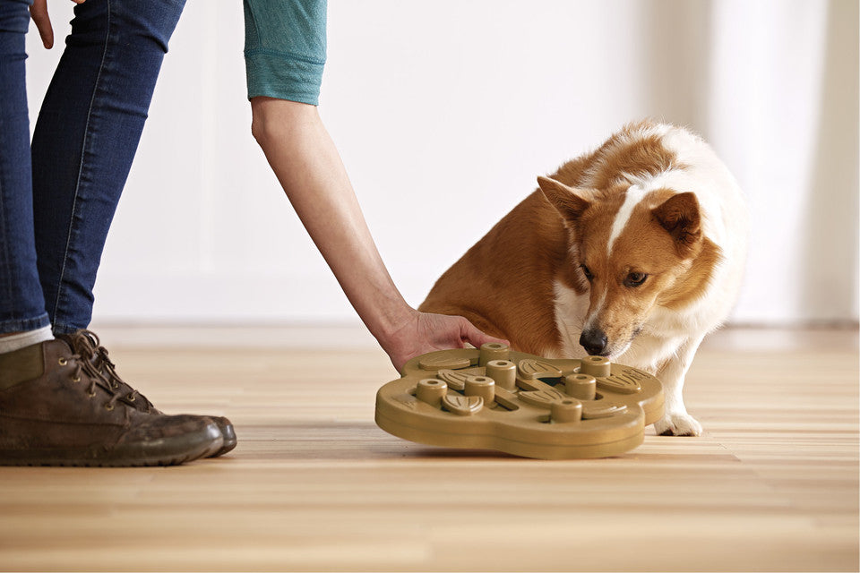Dog Hide N' Slide Interactive Treat Puzzle Dog Toy, Tan