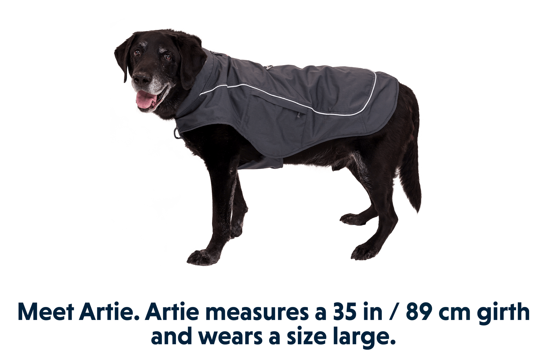 Overcoat Fuse™ Dog Jacket - Eva Pet - Ruff Wear Inc.