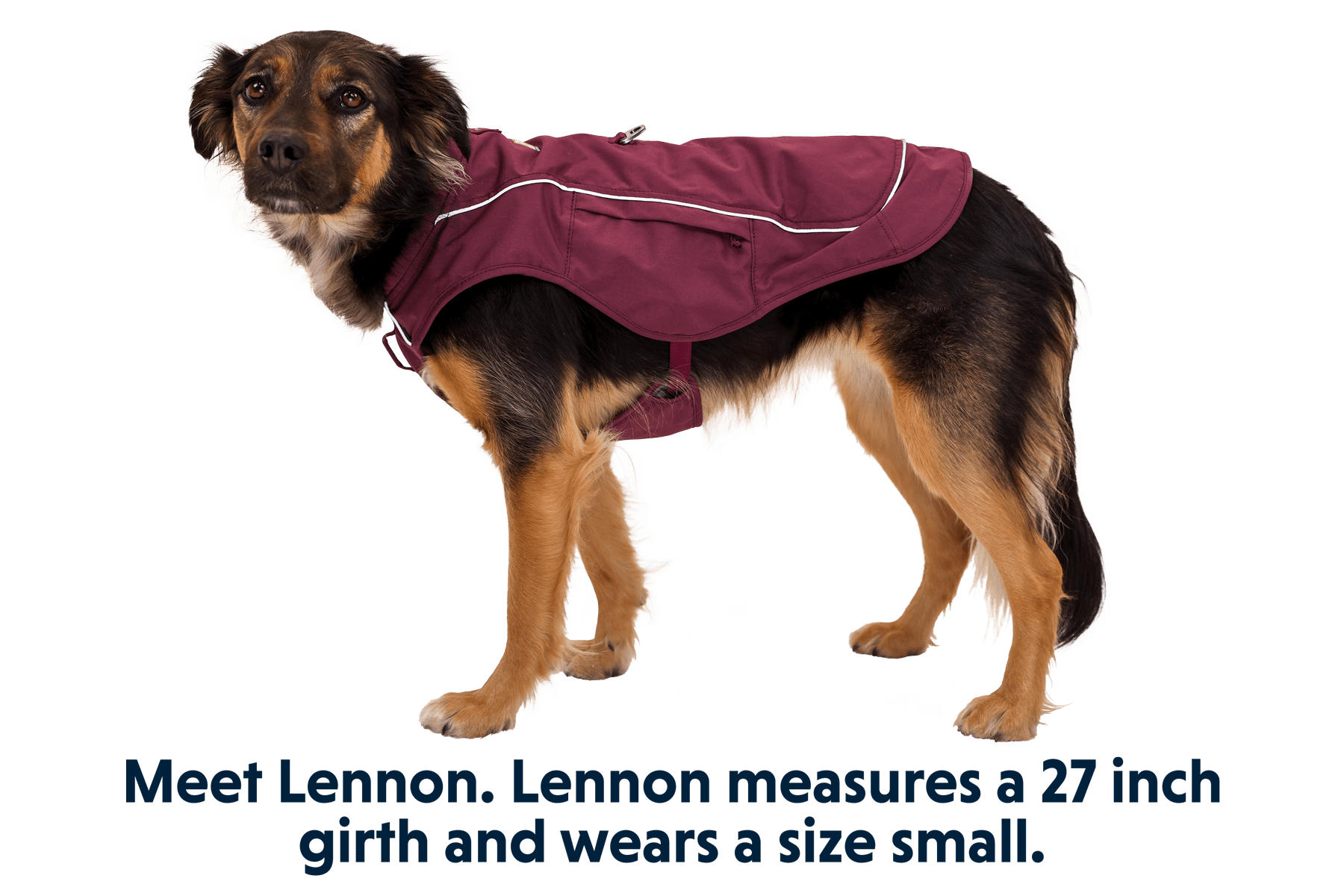 Overcoat Fuse™ Dog Jacket - Eva Pet - Ruff Wear Inc.