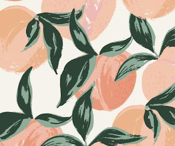 Peaches and Cream Dog Collar