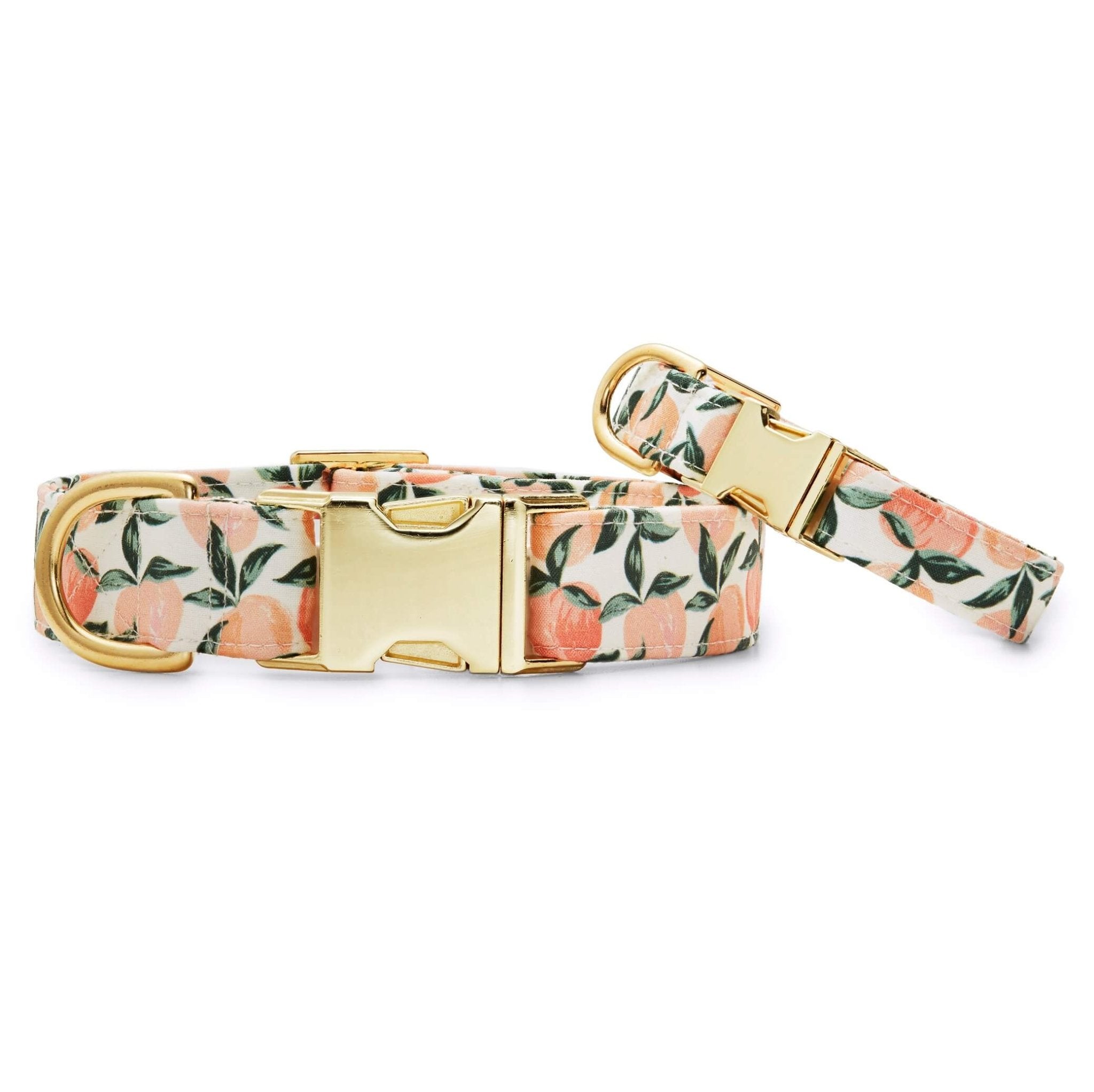 Peaches and Cream Dog Collar - Eva Pet - The Foggy Dog